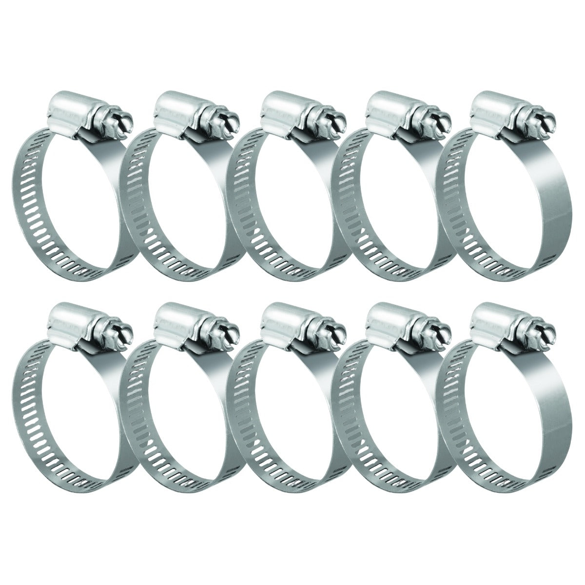 #36S All Stainless Steel Hose Clamp 10/box