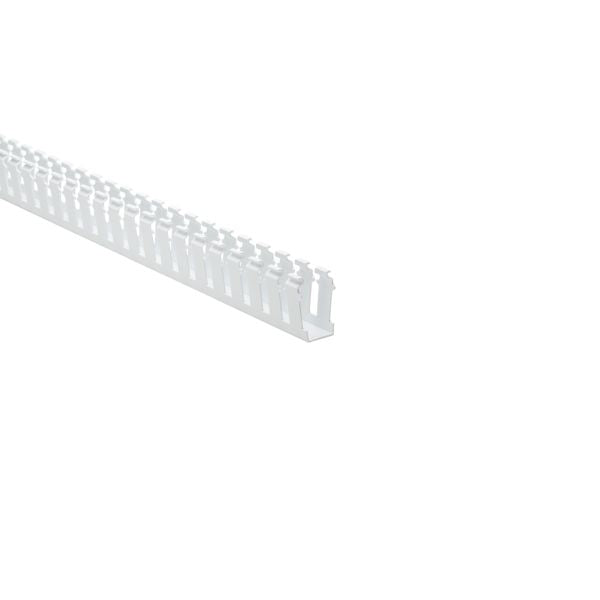 HellermannTyton 181-12008 Slotted-Wall Wiring Duct, 1" x 2", Non-Adhesive, PVC, White, 120 ft/carton
