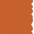 HellermannTyton 558-00337 Adhesive Labels, Solid Color Continuous Roll, 2.0" x 250', VL, Orange, 250 ft/roll