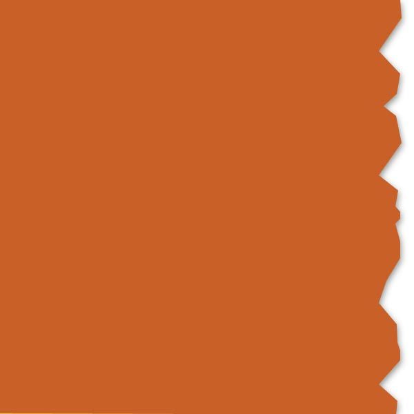 HellermannTyton 558-00338 Adhesive Labels, Solid Color Continuous Roll, 3.0" x 250', VL, Orange, 250 ft/roll