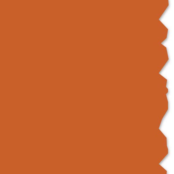 HellermannTyton 558-00411 Adhesive Labels, Solid Color Continuous Roll, 4.0" x 250', VL, Orange, 250 ft/roll