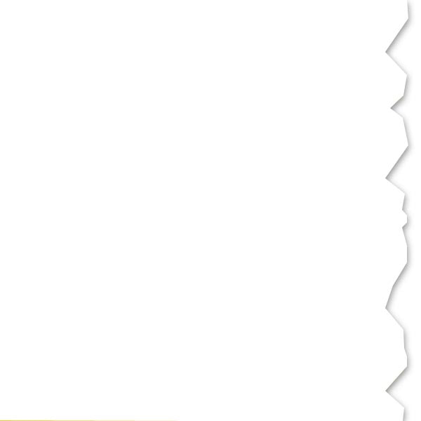 HellermannTyton 558-00350 Adhesive Labels, Solid Color Continuous Roll, 4.0" x 250', VL, White, 250 ft/roll