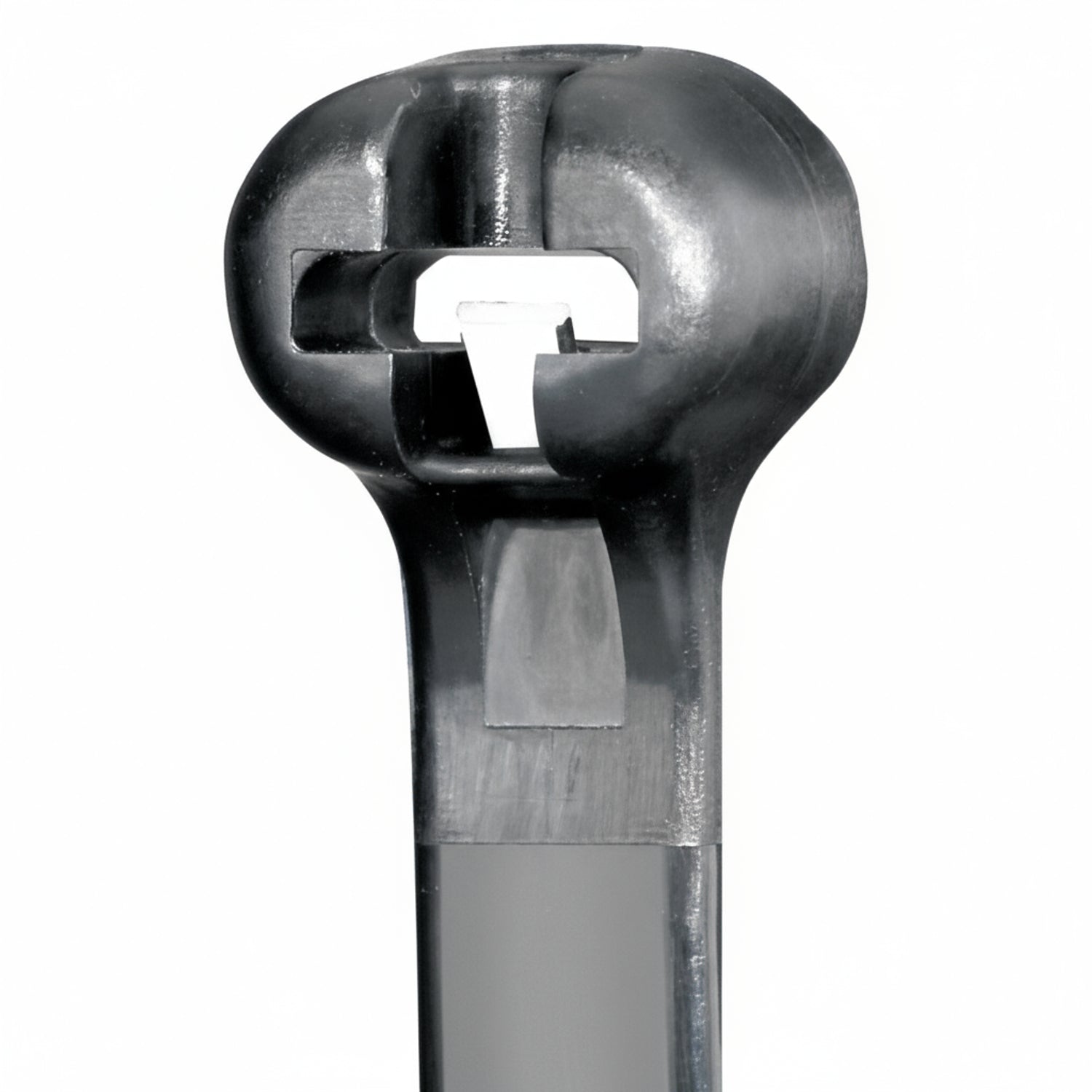 Panduit 8