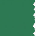 HellermannTyton 558-00351 Adhesive Labels, Solid Color Continuous Roll, 4.0" x 250', VL, Green, 250 ft/roll