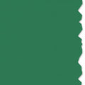 HellermannTyton 558-00342 Adhesive Labels, Solid Color Continuous Roll, 2.0" x 250', VL, Green, 250 ft/roll