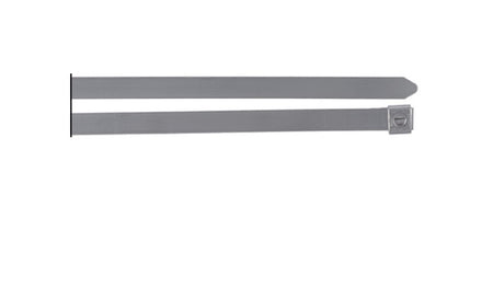 Thomas & Betts SS16-180 10" Mini Dual Lock Stainless Steel Cable Ties 100/Bag