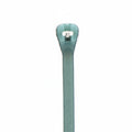 Thomas & Betts Ty-Rap TYZ528M 14" 50lb Aqua Radiation Resistant Tefzel Fluoropolymer Cable Ties 100/Bag